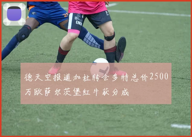 德天空报道加杜转会多特总价2500万欧萨尔茨堡红牛获分成